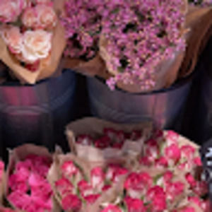 Meet your Posher, Kesha